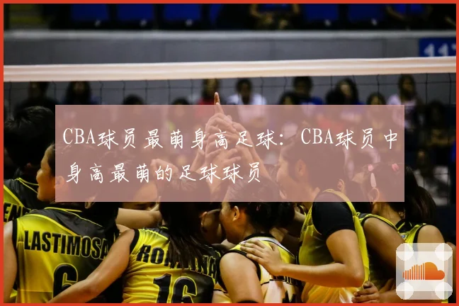 CBA球员最萌身高足球：CBA球员中身高最萌的足球球员