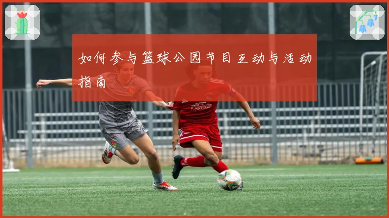 如何参与篮球公园节目互动与活动指南