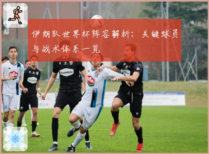 伊朗队世界杯阵容解析：关键球员与战术体系一览