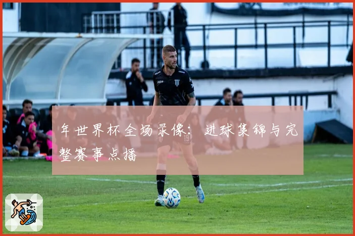 年世界杯全场录像：进球集锦与完整赛事点播
