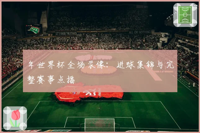 年世界杯全场录像：进球集锦与完整赛事点播