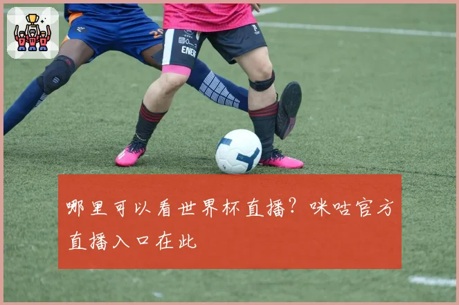 哪里可以看世界杯直播？咪咕官方直播入口在此