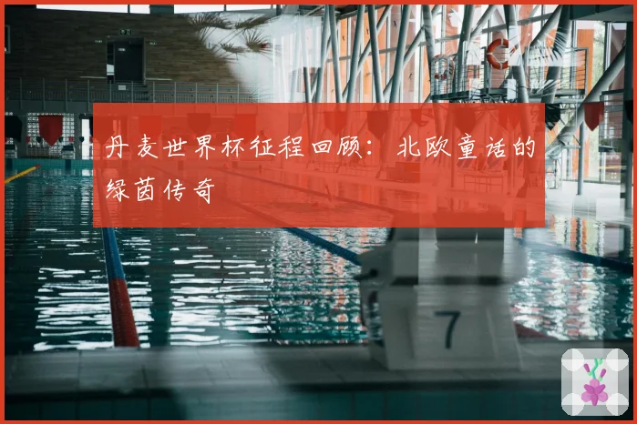 丹麦世界杯征程回顾：北欧童话的绿茵传奇