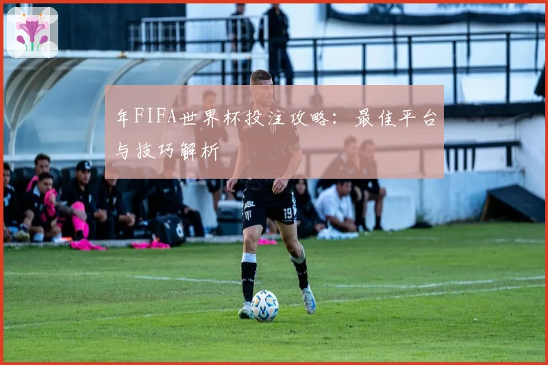 年FIFA世界杯投注攻略：最佳平台与技巧解析