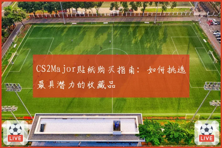 CS2Major贴纸购买指南:如何挑选最具潜力的收藏品