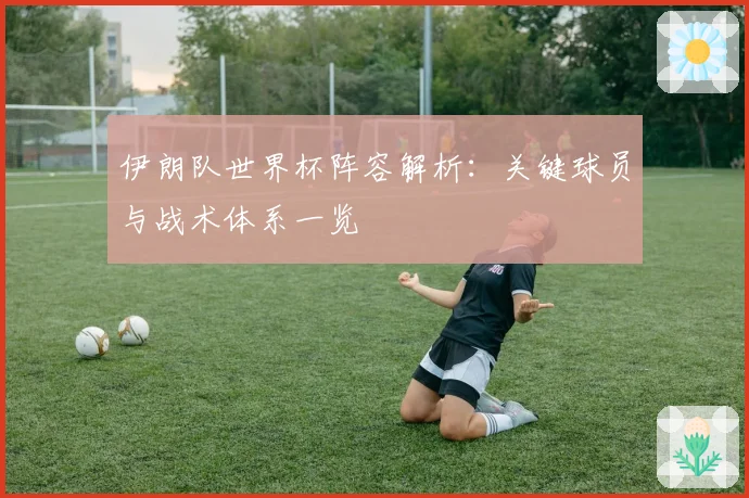 伊朗队世界杯阵容解析：关键球员与战术体系一览