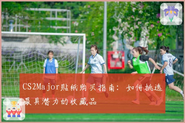 CS2Major贴纸购买指南:如何挑选最具潜力的收藏品