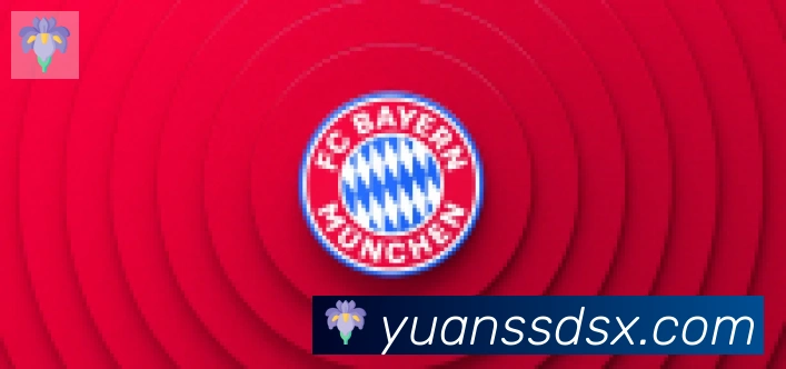 爱游戏官网合作伙伴