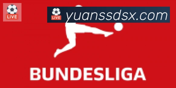 爱游戏官网合作伙伴